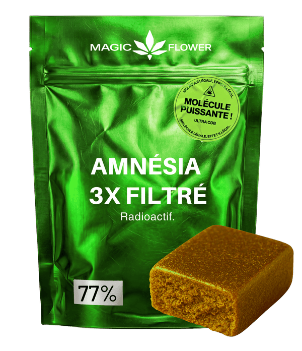 Amnesia X3 Filtrée ⚠️ ⚠️ ⚠️