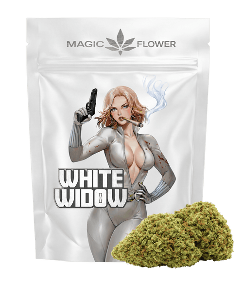 White Widow 👰🏼 👰🏼 👰🏼