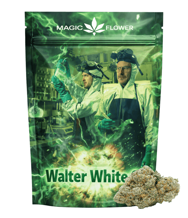 Walter White OG ⚗️ ⚗️ ⚗️
