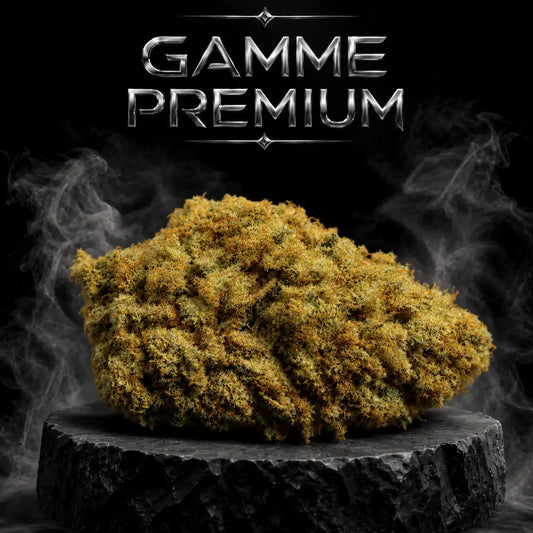 Amnesia Haze ✨ ✨ ✨