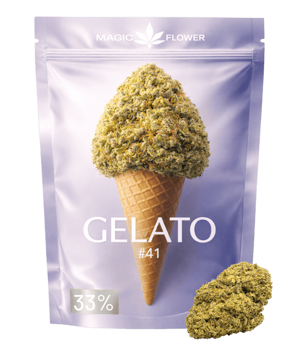 Gelato 41  🍨 🍨 🍨