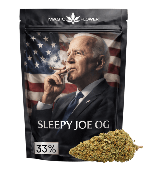 Sleepy Joe 🇺🇸 🇺🇸 🇺🇸