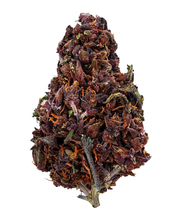 Purple Haze 😈 😈 😈