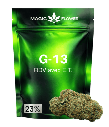 G-13 👽 👽 👽