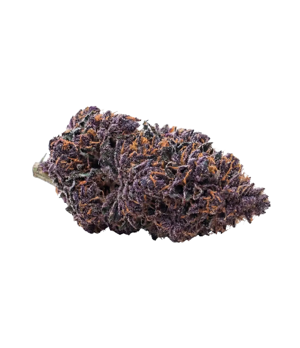 Blueberry Kush 🫐 🫐 🫐
