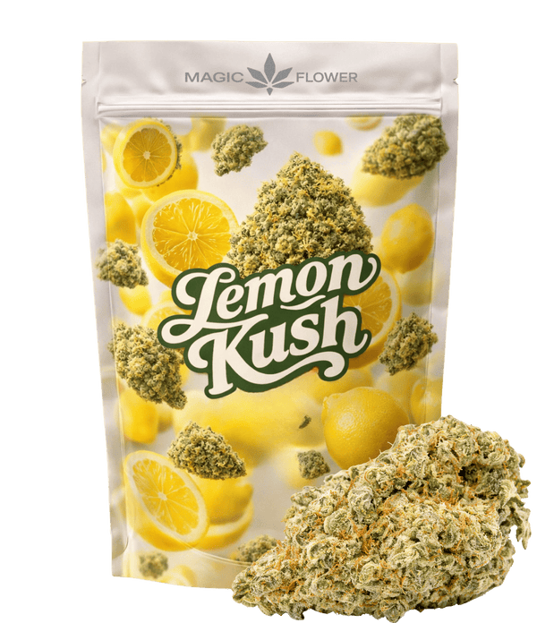 Lemon Kush 🍋 🍋 🍋