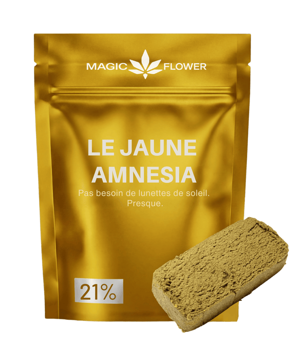 Jaune Amnesia 👊 👊 👊