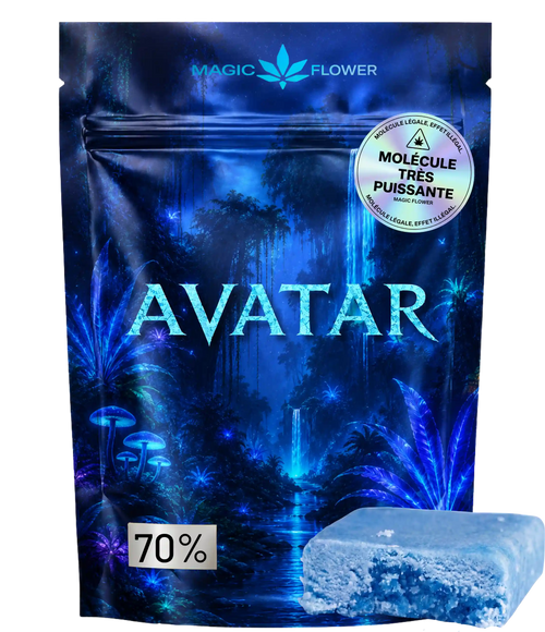 Avatar 🦋 🦋 🦋