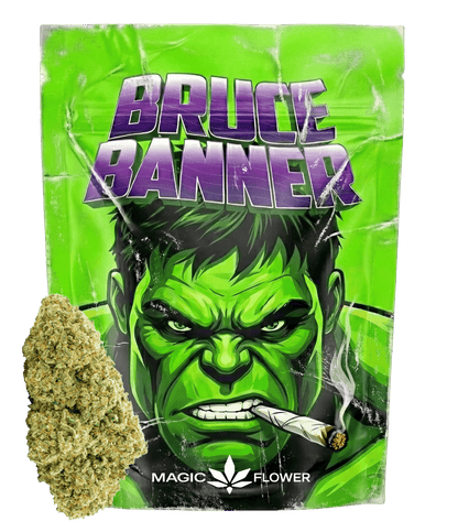 Bruce Banner 💪  💪  💪